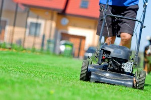 mowing lawn