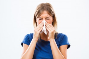 pollen free
